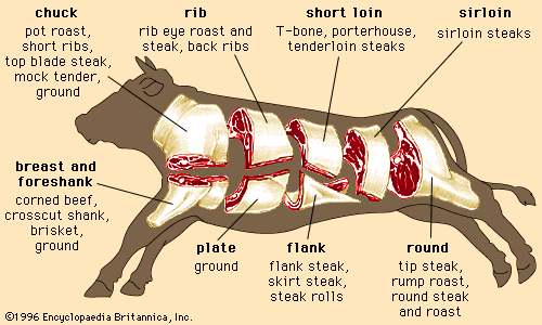 lp food beef cuts.gif